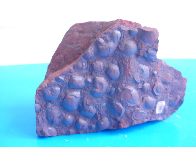 肾状赤铁矿矿石（河北宣化）DSCN2188