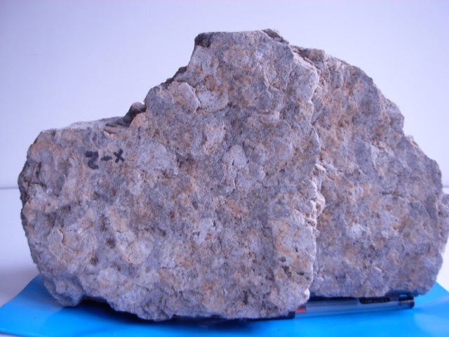 藻磷矿矿石（贵州息烽温泉）